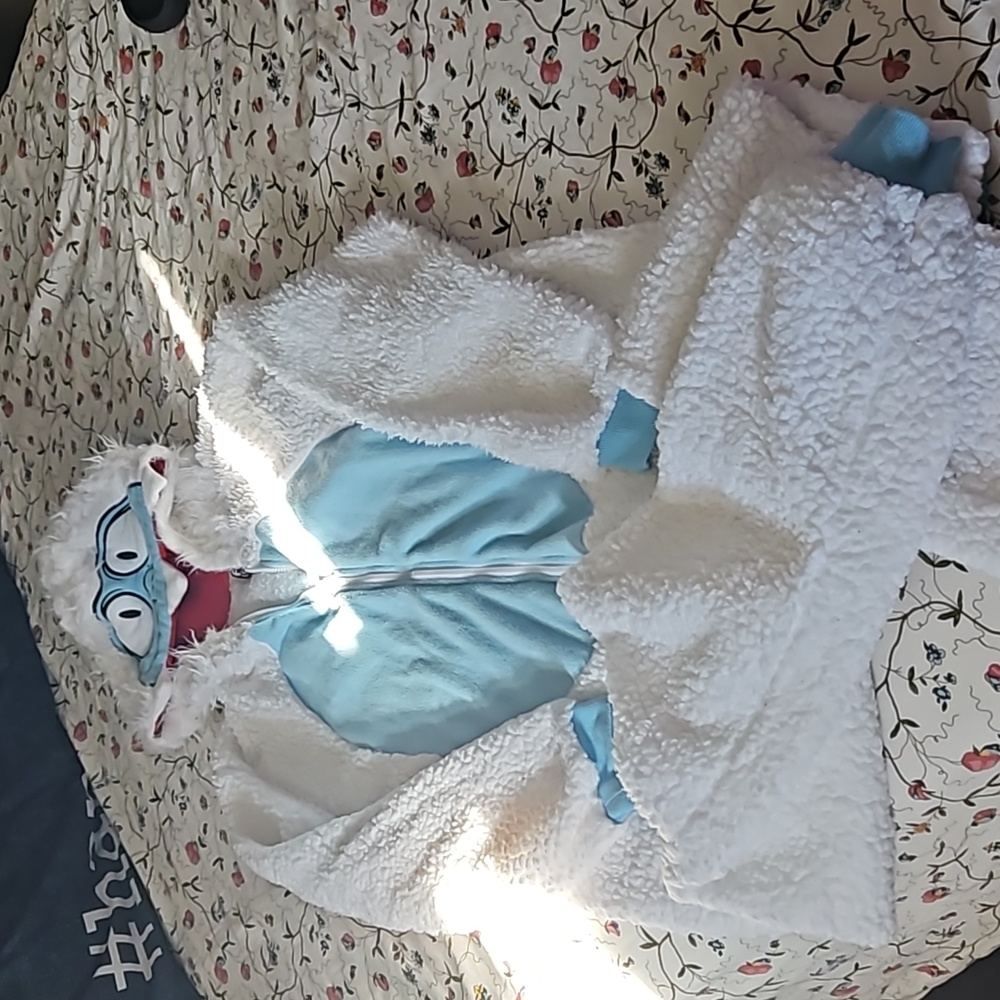 Pjs costume